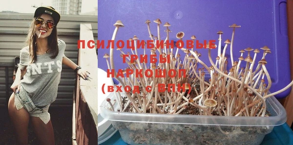 spice Куйбышев