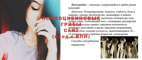 гашик Нестеровская