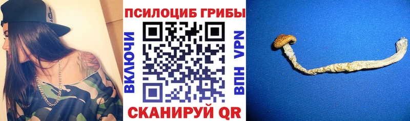 Галлюциногенные грибы MAGIC MUSHROOMS  Холмск 
